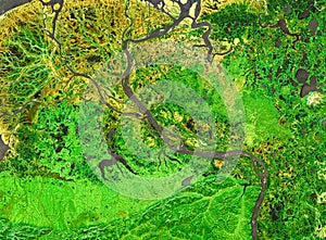 Nature pattern on satellite photo, delta of tropical river