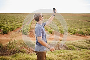 Nature, phone and a man with lost signal in field on farm road trip. Travel, view and vineyard, young traveler with