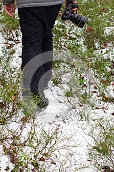 Nature photographer goes on a snowy forest path