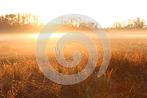 Nature Photography of an Early Sun Rise over a Farm Field with Heavy Fog