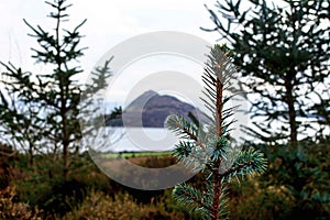 Scotland Landscapes Isle of Arran snow winter mountains photo