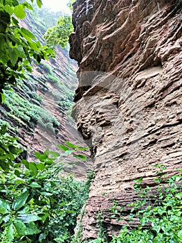 A nature picture from jabalpur madhya pradesh