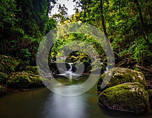 Nature Pictures in River generative ai