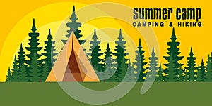 nature pines trees landscape with camp