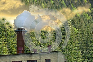 Nature pollution concept image, chimney spurting out smoke over green forest background, climate change, environment protection