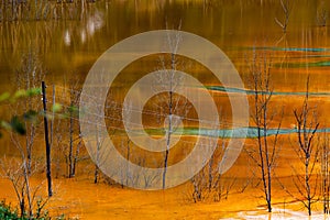 nature pollution from copper mine at lake Geamana, Romania