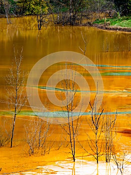 nature pollution from copper mine at lake Geamana, Romania