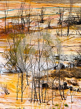 nature pollution from copper mine at lake Geamana, Romania