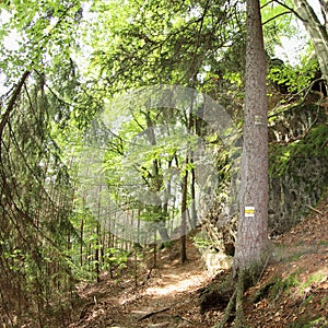 Nature Preserve Kokorinsko, Czech Republic
