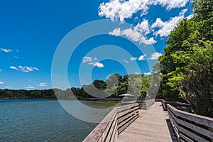 Nature preserve park with a boardwalk on Lake Dora in Mount Dora, Florida