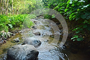 Nature Pure water flow river