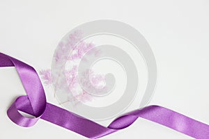 Nature purple flowers with ribbon over thew white background.