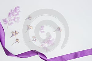 Nature purple flowers with ribbon over thew white background.