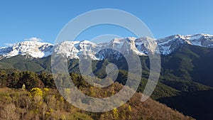 Nature in pyrinees mountains