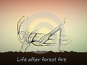 Nature recovery after the fire, tree looks like grasshopper, life after the forest fire concept, photo