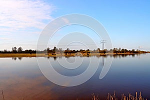 Nature reservate Hellegatsplaten on the island Goeree-Overflakkee