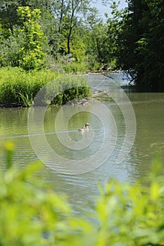 Nature reserve