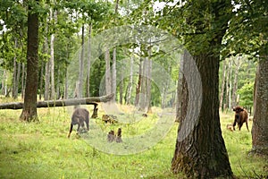 Nature reserve