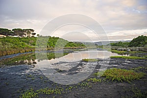 Nature Reserve