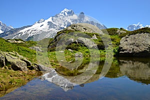 Nature Reserve Aiguilles Rouges, French Alps, France, Europe.