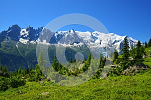 Nature Reserve Aiguilles Rouges, Graian Alps, France, Europe.