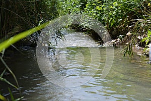 Nature Reserve- Alona river