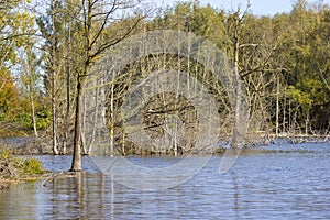 Nature reserve Bislicher Insel, Lower Rhine Region, Germany