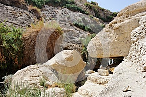 Nature Reserve Ein Gedi