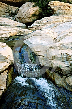 Nature Reserve Ein Gedi