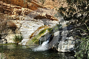 Nature Reserve Ein Gedi