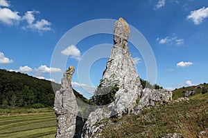 Nature reserve - Eselsburger Tal valley