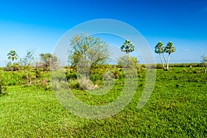 Nature Reserve Esteros del Ibera