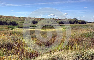 Nature Reserve, Fairburn Ings