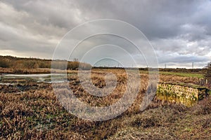 Nature Reserve, Fairburn Ings