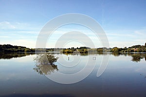 Nature Reserve, Fairburn Ings