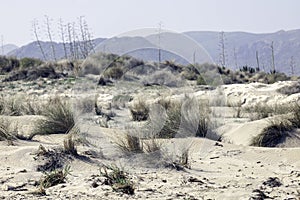 Nature reserve of Gata-Nijar`s End, Almeria. Andalusia, Spain. photo