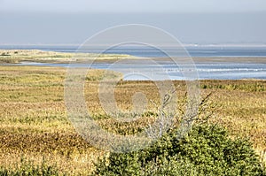 Nature reserve on the island of Goeree