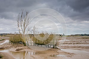 Nature Reserve Mudflats