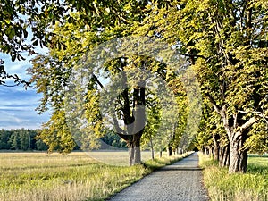 Nature reserve mÃ¶nchbruch near frankfurt germany