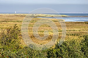 Nature reserve by the Northsea