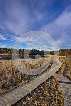 nature reserve Olsina, Sumava National Park, Czech Republic