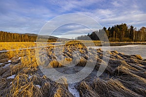 nature reserve Olsina, Sumava National Park, Czech Republic