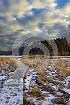 nature reserve Olsina, Sumava National Park, Czech Republic