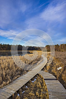 nature reserve Olsina, Sumava National Park, Czech Republic