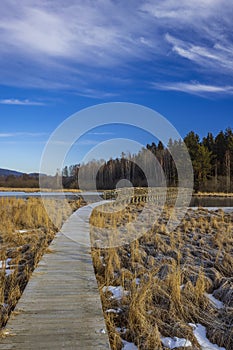 nature reserve Olsina, Sumava National Park, Czech Republic