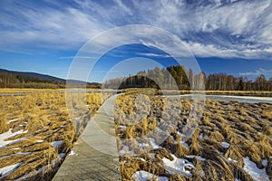 nature reserve Olsina, Sumava National Park, Czech Republic