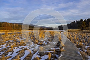 nature reserve Olsina, Sumava National Park, Czech Republic