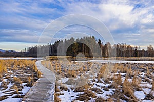 nature reserve Olsina, Sumava National Park, Czech Republic