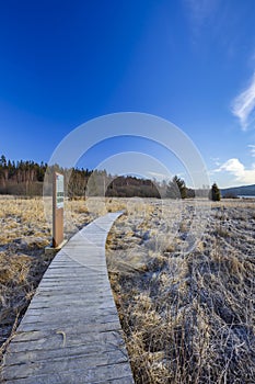 nature reserve Olsina, Sumava National Park, Czech Republic