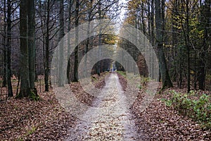 Nature Reserve in Poland